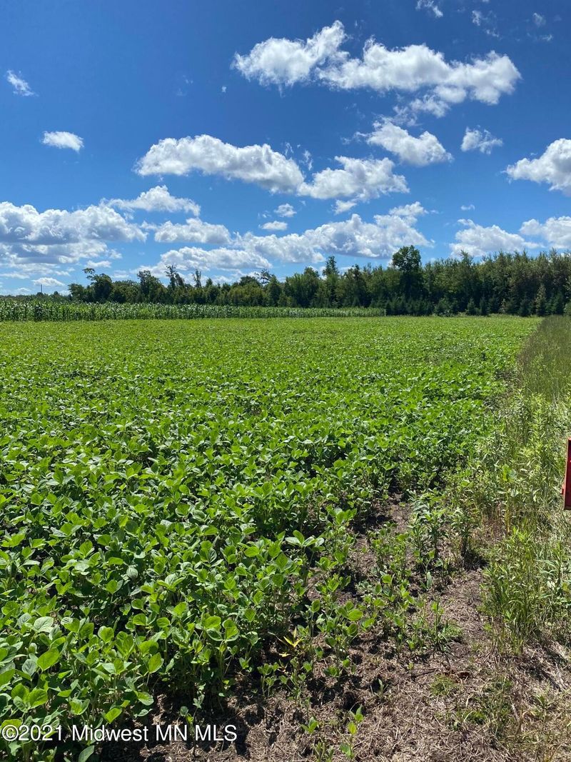 Tbd 260th St, Deer Creek, MN 56527
