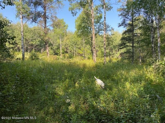 Tbd Camp 6 Forest Trl, Ponsford, MN 56575