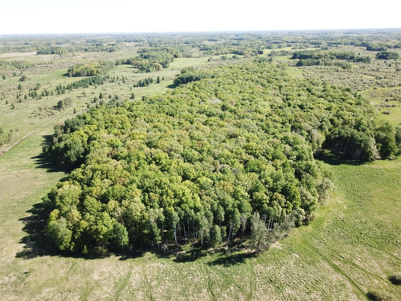 Tbd 230th St, Hewitt, MN 56453
