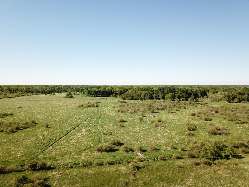 Tbd 230th St, Hewitt, MN 56453