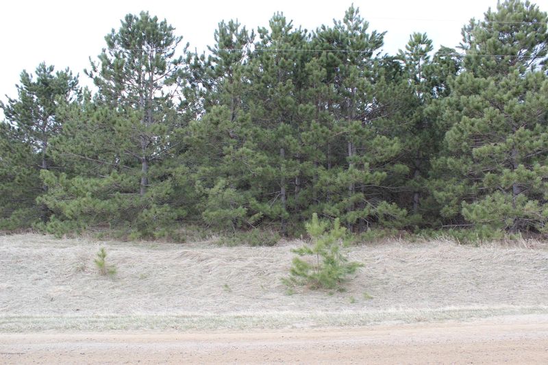 Tbd Parcel E 490th Ave, New York Mills, MN 56567