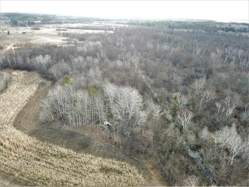 29350 159th Ave, Sebeka, MN 56477