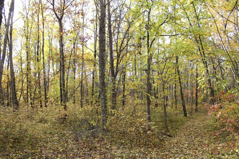 Tbd Twin Lakes Rd, Menahga, MN 56464