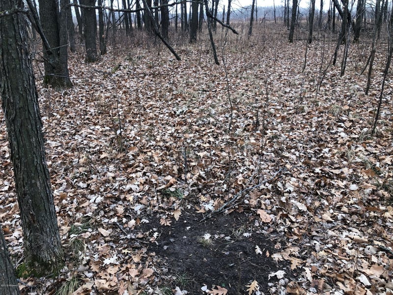 Tbd 425th St, Bluffton, MN 56518