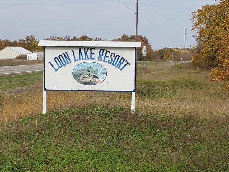 32053 Loon Dr, Vergas, MN 56587