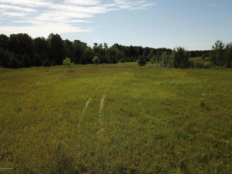 Tbd County 21, Staples, MN 56479