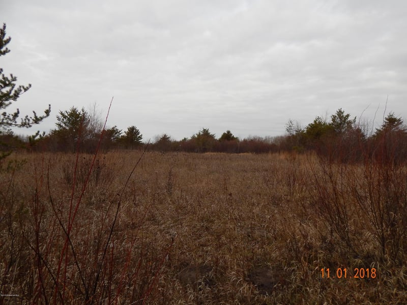 Tbd Tbd Ne 1/4, Lancaster, MN 56735