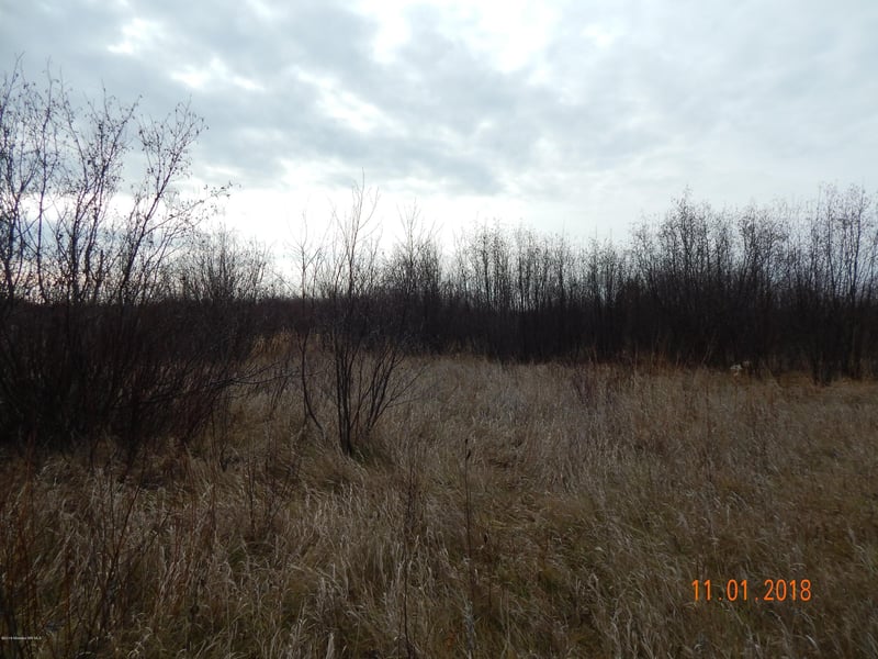 Tbd Tbd Ne 1/4, Lancaster, MN 56735