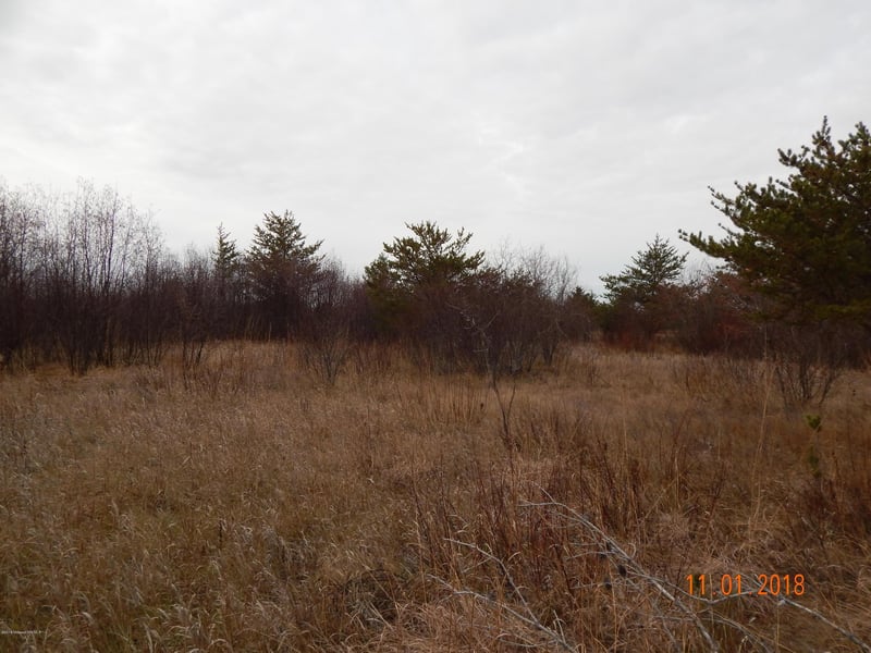 Tbd Tbd Ne 1/4, Lancaster, MN 56735