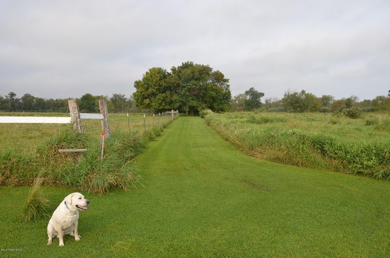 Tbd 215th Ave, Clarissa, MN 56440
