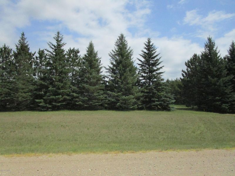 Land 175th Ave, Erhard, MN 56534