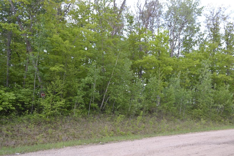 Tbd Carlson Dr, Rochert, MN 56578