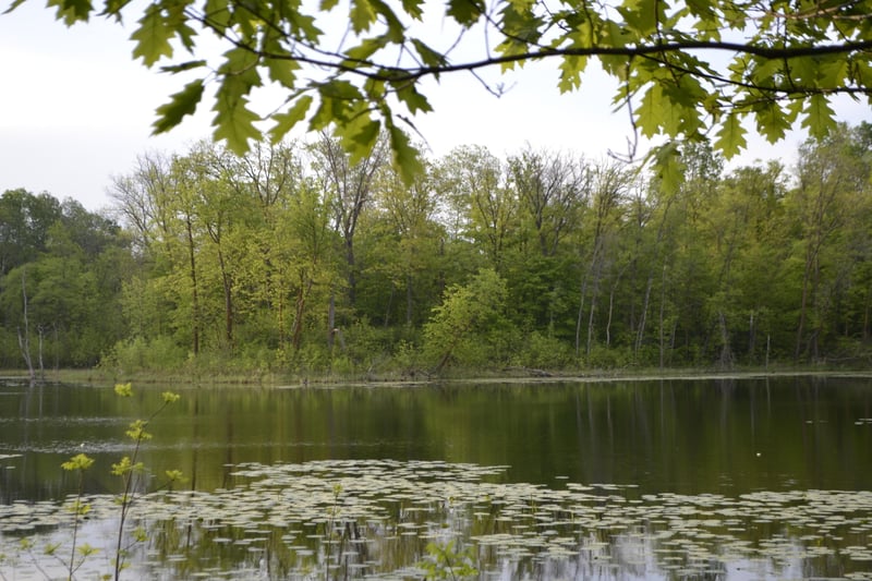 Tbd Carlson Dr, Rochert, MN 56578