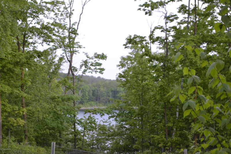 Tbd Carlson Dr, Rochert, MN 56578