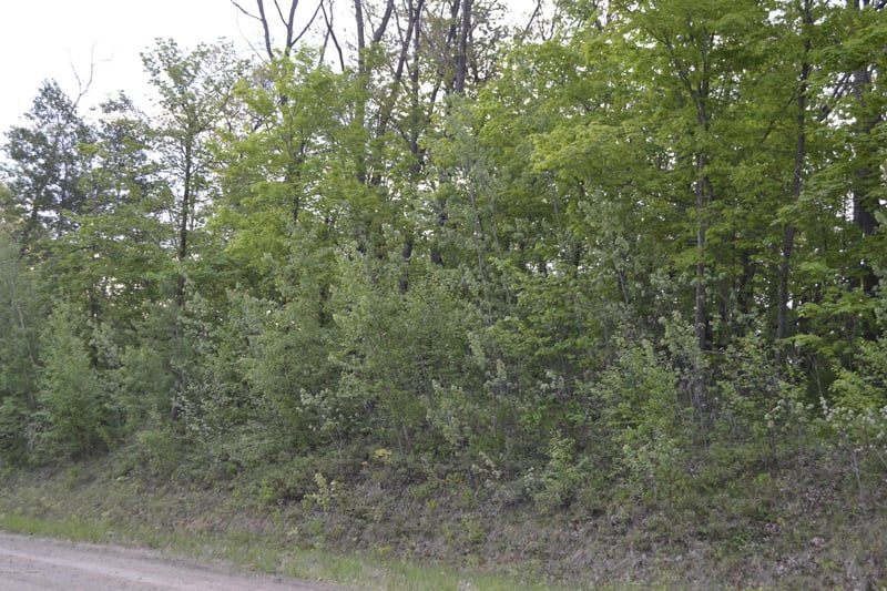 Tbd Carlson Dr, Rochert, MN 56578