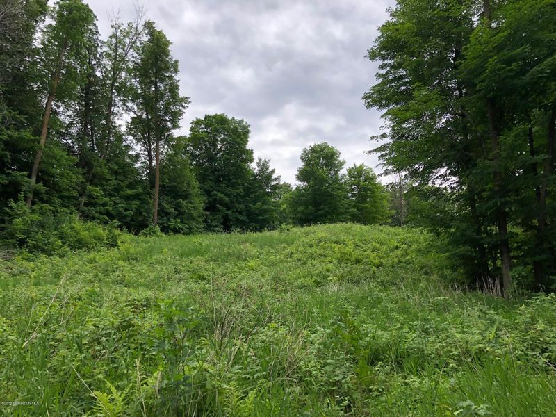 Tbd Adams Point Ln, Frazee, MN 56544