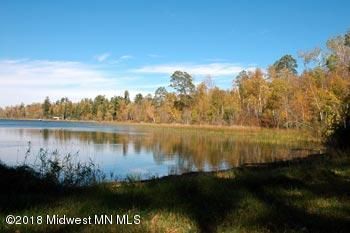 40554 S Ice Cracking Rd, Ponsford, MN 56575