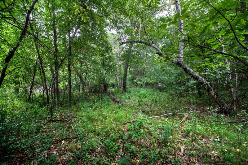 xxxx Sleepy Hollow Dr, Oak Grove, MN 55011