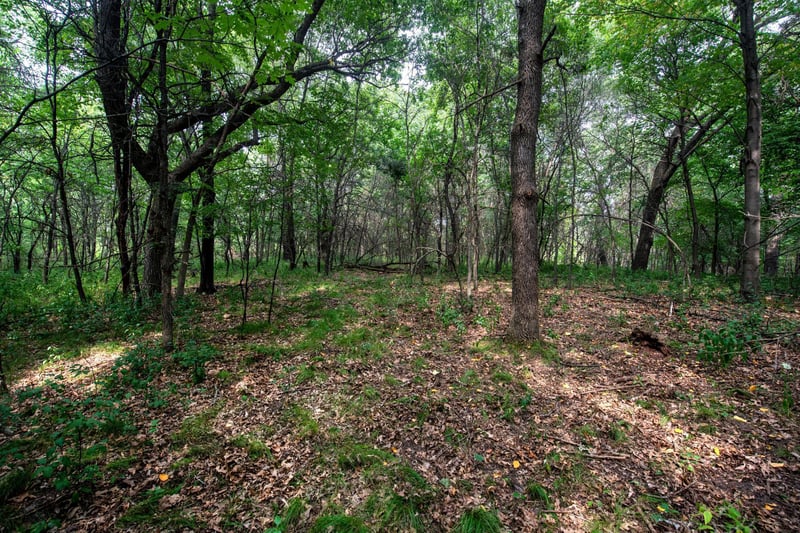 xxxx Sleepy Hollow Dr, Oak Grove, MN 55011