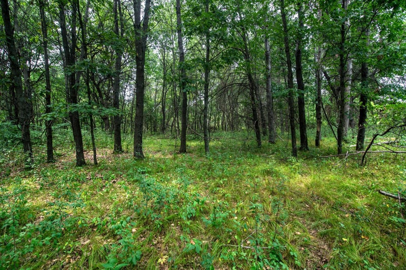 xxxx Sleepy Hollow Dr, Oak Grove, MN 55011