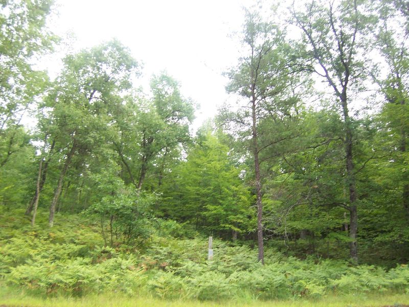 Lot 4546 Oaks Ct, Danbury, WI 54830