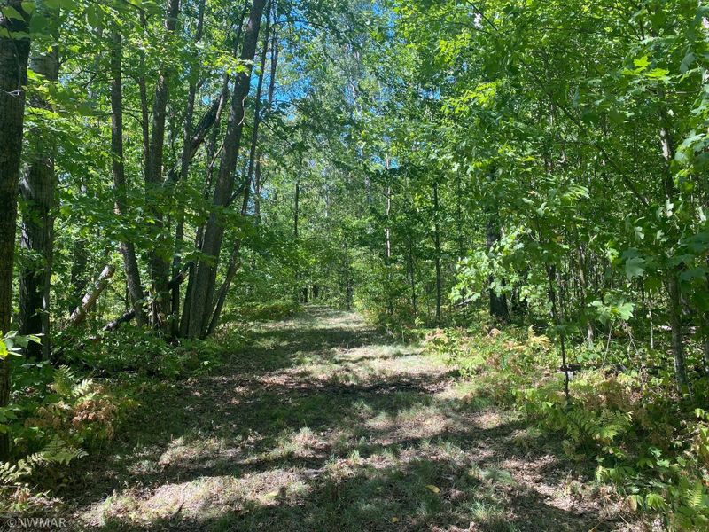 22034 Silver Maple Rd NW, Puposky, MN 56667
