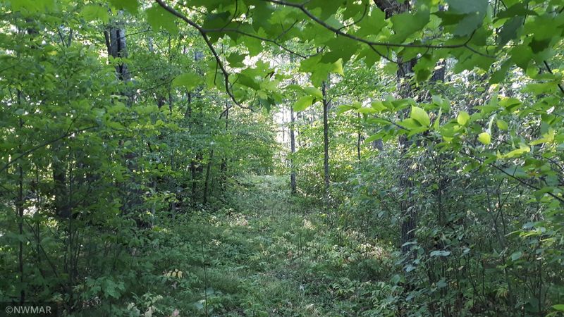 22034 Silver Maple Rd NW, Puposky, MN 56667