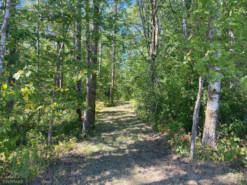 22034 Silver Maple Rd NW, Puposky, MN 56667