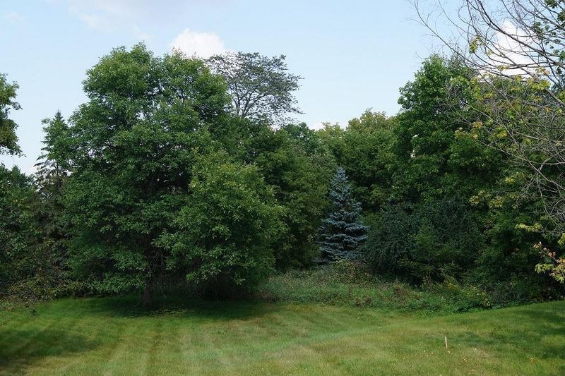 6240 Main St W, Maple Plain, MN 55359