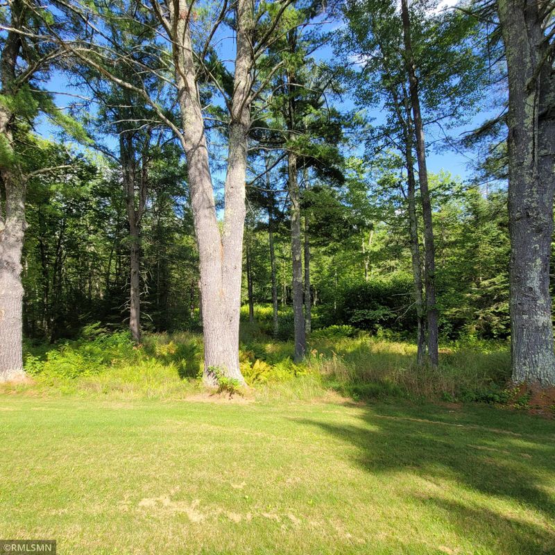 6668 N Dam Rd, Winter, WI 54896