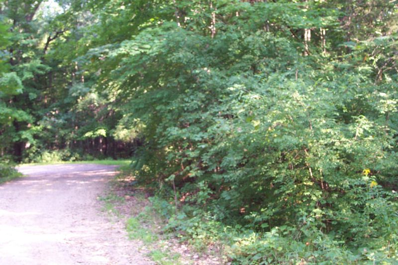 0 Hwy 25, Menomonie, WI 54751