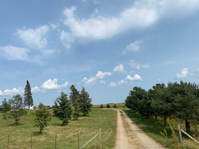 24598 State Hwy 83, Waldorf, MN 56091