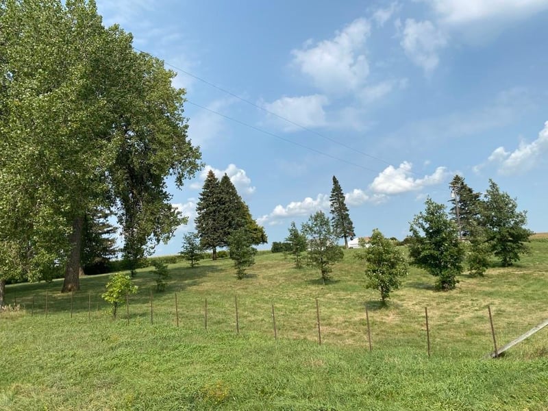 24598 State Hwy 83, Waldorf, MN 56091