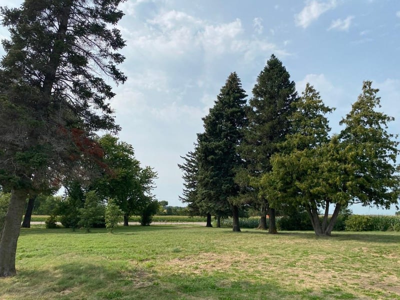 24598 State Hwy 83, Waldorf, MN 56091