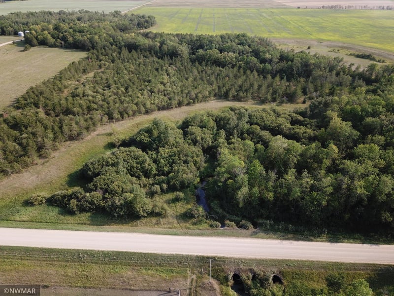 144 County Rd, Wannaska, MN 56761