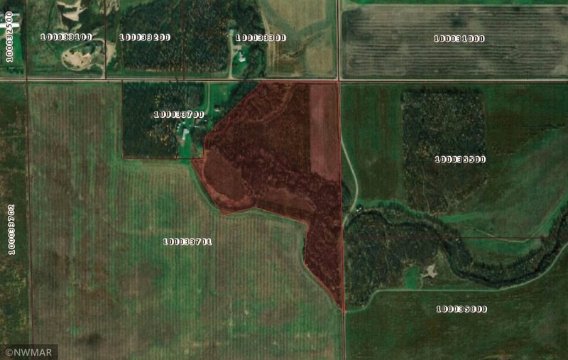 144 County Rd, Wannaska, MN 56761