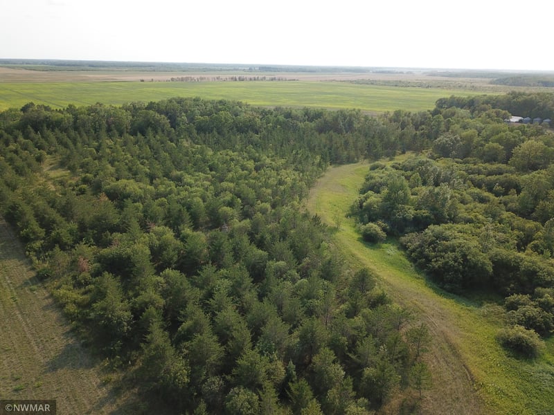 144 County Rd, Wannaska, MN 56761