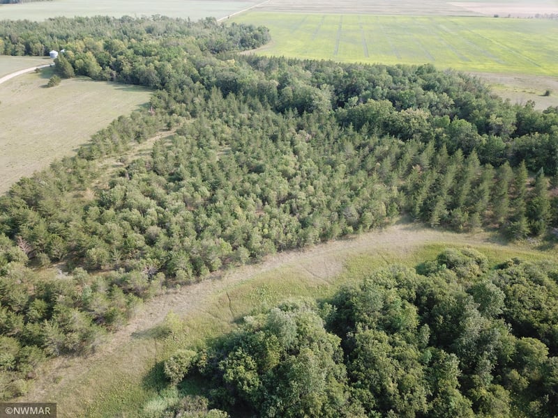 144 County Rd, Wannaska, MN 56761