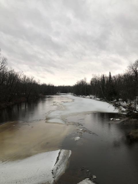 TBD Hwy 6, Big Falls, MN 56627