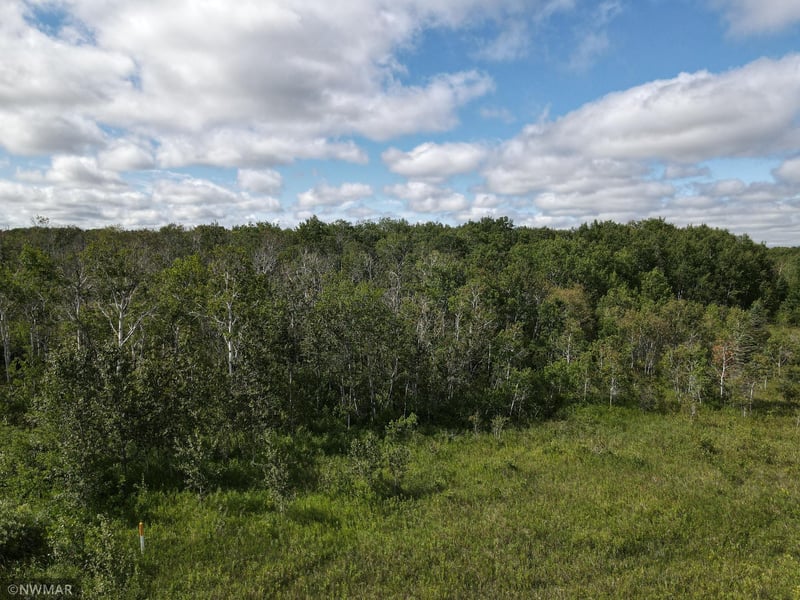 180th NW 180 Ave, Newfolden, MN 56738
