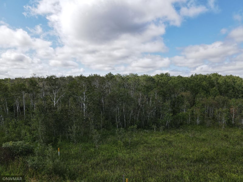 180th NW 180 Ave, Newfolden, MN 56738