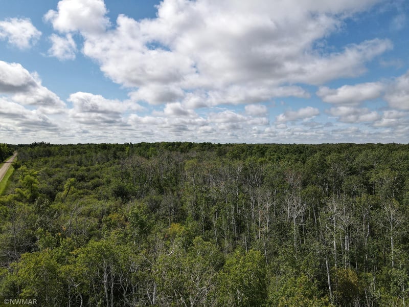180th NW 180 Ave, Newfolden, MN 56738