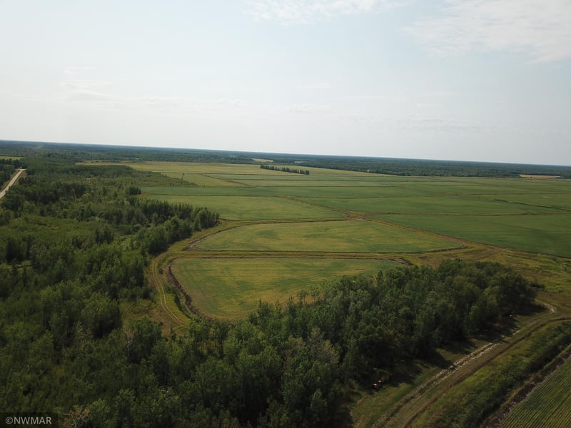 5987 Wild Rice Rd, Baudette, MN 56623