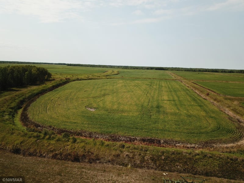5987 Wild Rice Rd, Baudette, MN 56623