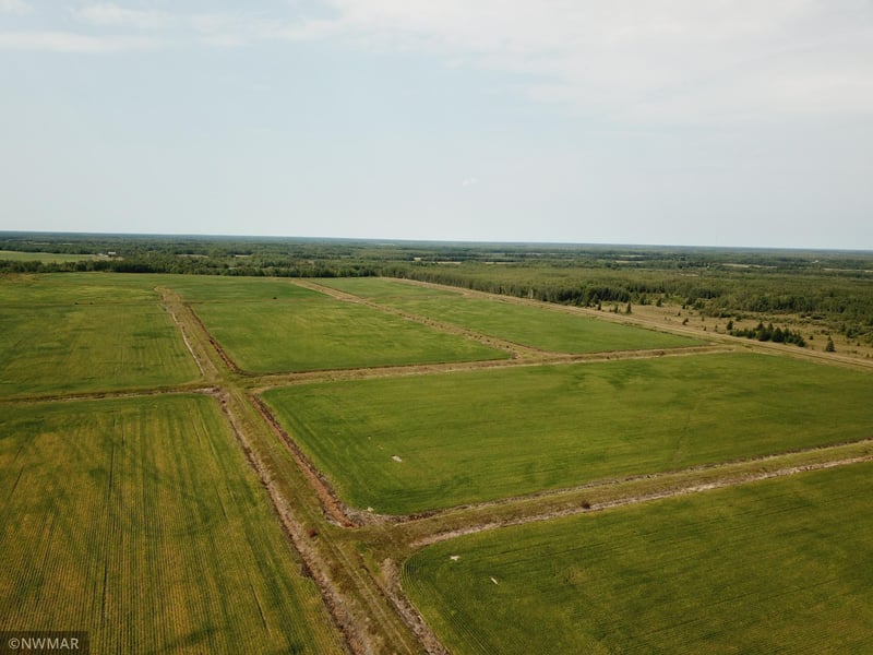 5987 Wild Rice Rd, Baudette, MN 56623