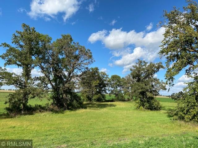 XXX 122nd, Plato, MN 55370
