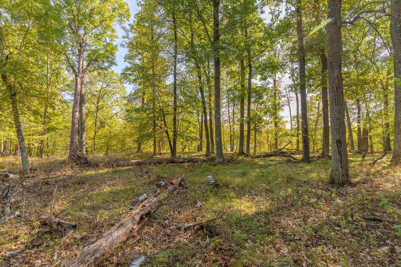 Lot 9 Lost Lake Rd, Lake Shore, MN 56468