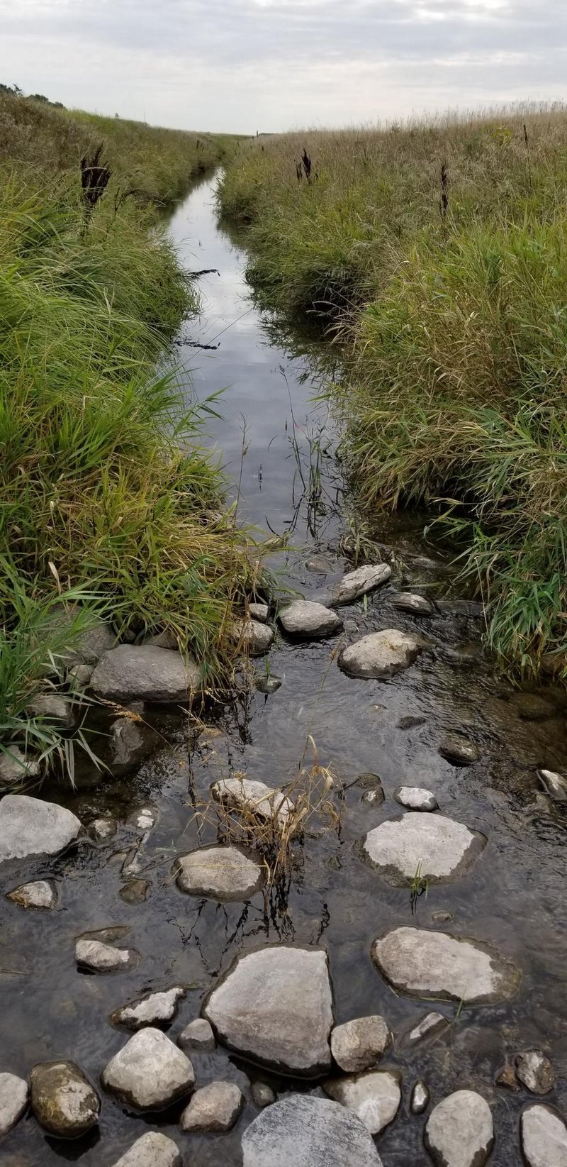 Section 16 Baker Township, Chokio, MN 56221