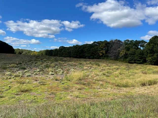 8132 325th Ave NW, Princeton, MN 55371
