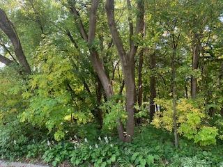 2445 Auburn Dr, Victoria, MN 55386